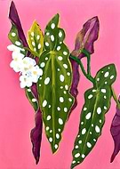 2022-02-08/d92ab0baa192d13170bbb5c500a91ecc_e0d0f6066e165a4a2ee38576c988dee2