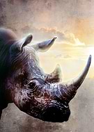 2022-02-14/ed3372b4dbcf89ba5c305d42065969a3_3ccd7eeb1127a1374e1ed985b32a7f63