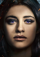 collection-preview-2