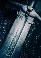 collection-preview-0