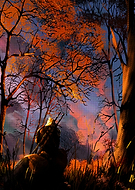 2022-02-18/2e5613b94c0224a12cc1cb0a6d6037f2_e006251b93adf0e8de8a9d118ca918d5