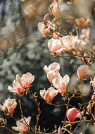 2022-02-19/0309351e74db12536f9ba3018d622ae9_ffc8864a1a5ea017f0acfc2da6eb04f8