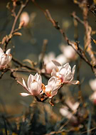 2022-02-19/f144cf3a17834034ff73f701c74e75bd_f57a7e77429b06b0c89994ec1a6b7001