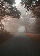 2022-02-28/e04e14a750a2f4954a01d9c34a90cd08_ac3e436dfb677071a8850b9439c1e1ed