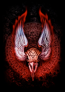 collection-preview-0