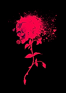 collection-preview-3