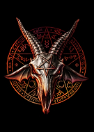 collection-preview-2