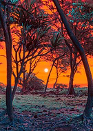 2022-03-10/4381810323706b1628d7d0fa64260b69_0275ad8e89c772f0275e41c6f997b899