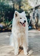 2022-03-16/1320f826fe4250e1d87ae67471336ae2_3c52083fedb472642df67192227de8d0