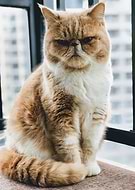 2022-03-16/b80877cb2b749b3f15d26dfe5f387ac2_9c8b62bd34f12f88142941be6b5b5da3