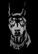 2022-03-16/b86be9c496447f3a2e0b5794da0369dc_fac19b9611747a87697b64b83a496129