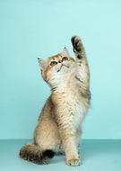 2022-03-16/e13092b7cca08e73e459cb9888e4395d_3d4977df52f70b4071e25bdafbe55223