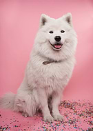 2022-03-16/eb5bf1226284c9075a14a81817bd9271_d3b64b49b2acfe51fbcecfc45f585644