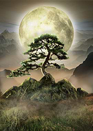 2022-03-16/eeba8d0d9fd11964370fd2192787b55f_3719393bf4dbe7670e5aff4408e1203c