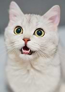 2022-03-16/efc449957b3dc694cd44ca38d3a821db_b87eaed1434b32e7a008483b96660e86