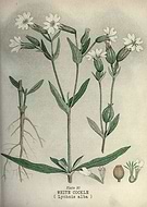 2022-03-18/4a6128a61832c512fb11b51fff532fdf_a8df7e828b84a7a4cf98dc16b6a6e64c