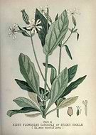 2022-03-18/d8e4384df8cefb8d8a5a21b34750f04f_ca66649e128e1c89a8a350e777e8de4c