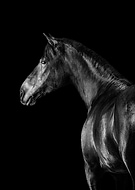 2022-03-20/4fcfcebd45dea29c9e178a1fea629042_165450e3b09fc7f25f52ead5a6a6efee