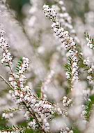 2022-03-21/b76260c96701707392da9e7fe1c887a8_3a3605caec1076dabfebc67f74ce6b8f