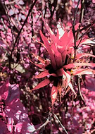 2022-03-23/1d8b3ee7186cbf7f9ac79dfd76683d63_ea78b8e647e87d07cee210456a5ddb9b