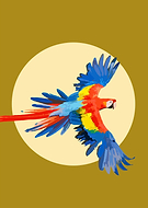 2022-03-29/20a02edaaa310649730d667a4b7c7d72_12533f818db748abe02535b4100dc1a1