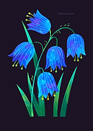 2022-03-29/bf405d34a15d653baf880724e8d786da_bdb56fb1d9e35c04e99e2f471f1788c1