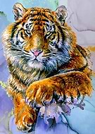 2022-03-29/dfa3c452c082d0417568f8806b1c9c05_3ea046f51dc1c6841c8bb91cdd687fc7