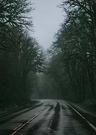 2022-03-30/c08f119de515381de7b7dc5bf33e9e98_edaaf3b95f26e808f8c3eab0162e92e7