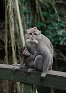 2022-04-01/25303f32e56cf64be263882c72a1b568_51110dd9e40d53649baba0499168d6ec