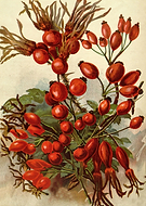 2022-04-01/9461924da2bd0026f79499834ff187f1_541e619605fa4ff7bd50d9f0fbcdcc7d