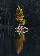 2022-04-08/80e9ba96170e19dba1066d78bf3c06f4_4b730be33a497854532d6c6847c52964