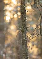 2022-04-11/3e18ea8ce85dcd6b9784fb97f1c1c3b9_510188771a804a02a68506c9d6d80346