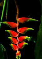 2022-04-15/08bdd61be8a45dc9bcfccf9db6099008_19ebc08123542f7cecdc04d7f4bf81d2