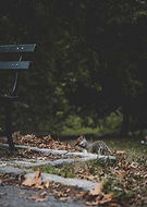 2022-04-21/0f97a1bce5c4bc57067cabe21ec49dab_43a29fe309164dde0341340e716bd6b0