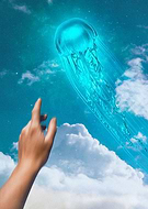 2022-04-24/a5c6c0cf9454124b1d3cd19c4851ceb1_240fc9ffc783a7a3a17b78e28532a42a