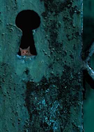 2022-04-25/dc0766ea1748b8f727b9c486fb3590fc_5733d16977a85c620b5b538e135e11b1