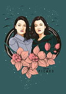 collection-preview-3