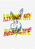 collection-preview-3