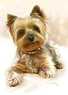 2022-04-27/3dacb1a7625a5befc2cfabc5ddb963c2_a36fd4fbf488fedd65fe5731708bdff0