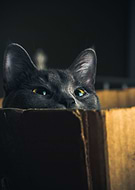 2022-04-27/ab7c0d49eb36477167c0226a2a17787e_6d99bc98bb0345d02d8d55f8aa68fc8e