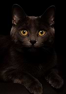 2022-04-27/e530ad93156a6ed8003f50c448671ac9_edc817561ee2a667fca6a8fa6d41432f