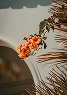 2022-05-02/b7cd8f629f47a85302a3e8e2c194846c_59c597b495701ee767bcd4600e6c3dcf