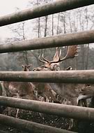 2022-05-02/c8b9b41c404330a44aa4e04607f3ca76_0e1286562998f231b4baa2e29a5eee46