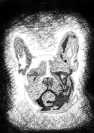 2022-05-09/cd031226f74593c521c388012370f3c5_f13fe3bc76bcc372efb0abf239f6da5e