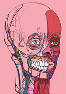 2022-05-10/657c3fc5c0078aa972fdb9f7305d5460_bcc7a1fae41083664477560fb950e666