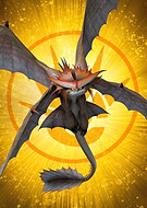 collection-preview-1