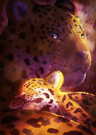 2022-05-22/75d74b8e95af1eb11e22685216023c02_f8f5a3afc64177eaf19c30dd1bfd059a