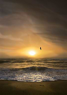 2022-05-30/0a539cc6cb7715c215ec64a22c2ee189_ebac90e167b4b1bc85f1e0158c10e1f5