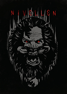 collection-preview-3