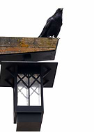 2022-06-05/878c8851ba1f595fb647b2bda48ab277_8f8c08f6a61ebaa5cb5d8f9f4789f331